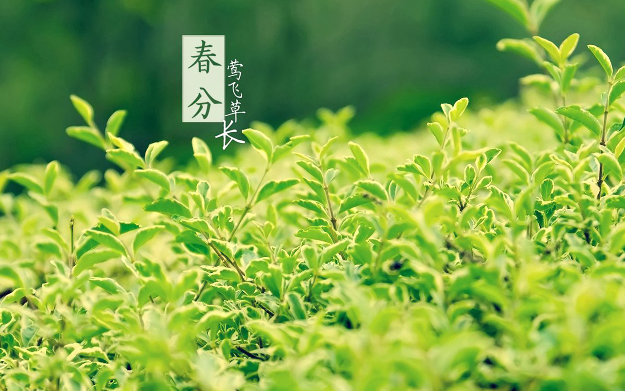 春分，所有的美好都會(huì)如約而來